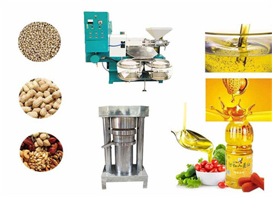 Commercial Easy To Operate Peanut Oil Press in Burkina Faso