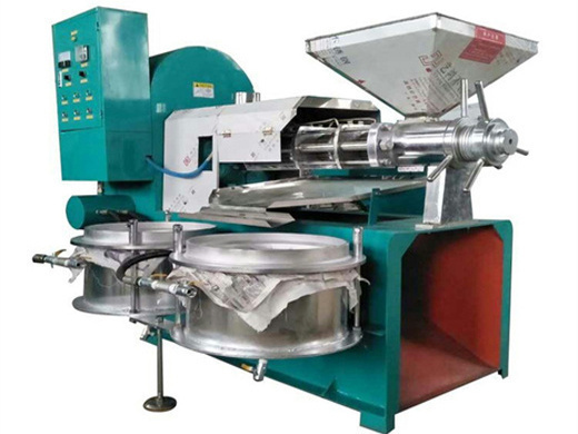 40Tph Palm Oil Production Machine in Algeria