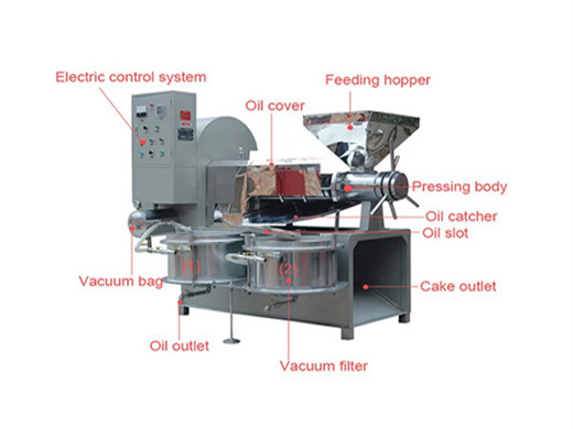 150Kg/H Automatic Corn Germ Oil Extraction Machine in Niger