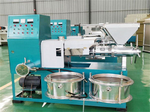 Popular Chinese Oil Press Equipment in Togo