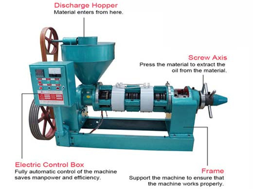 Cold Press Soybean Oil Making Machine Oil Expeller in Zambia